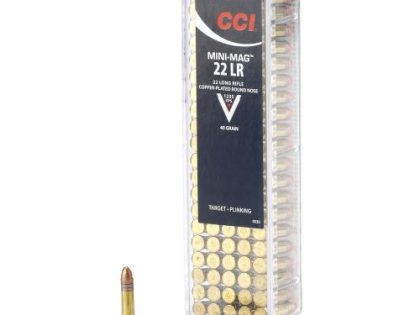 22 LR - CCI - 100 rounds