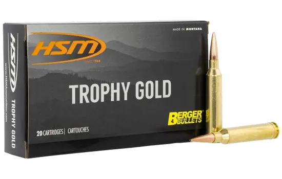 HSM - Trophy Gold - Image 2